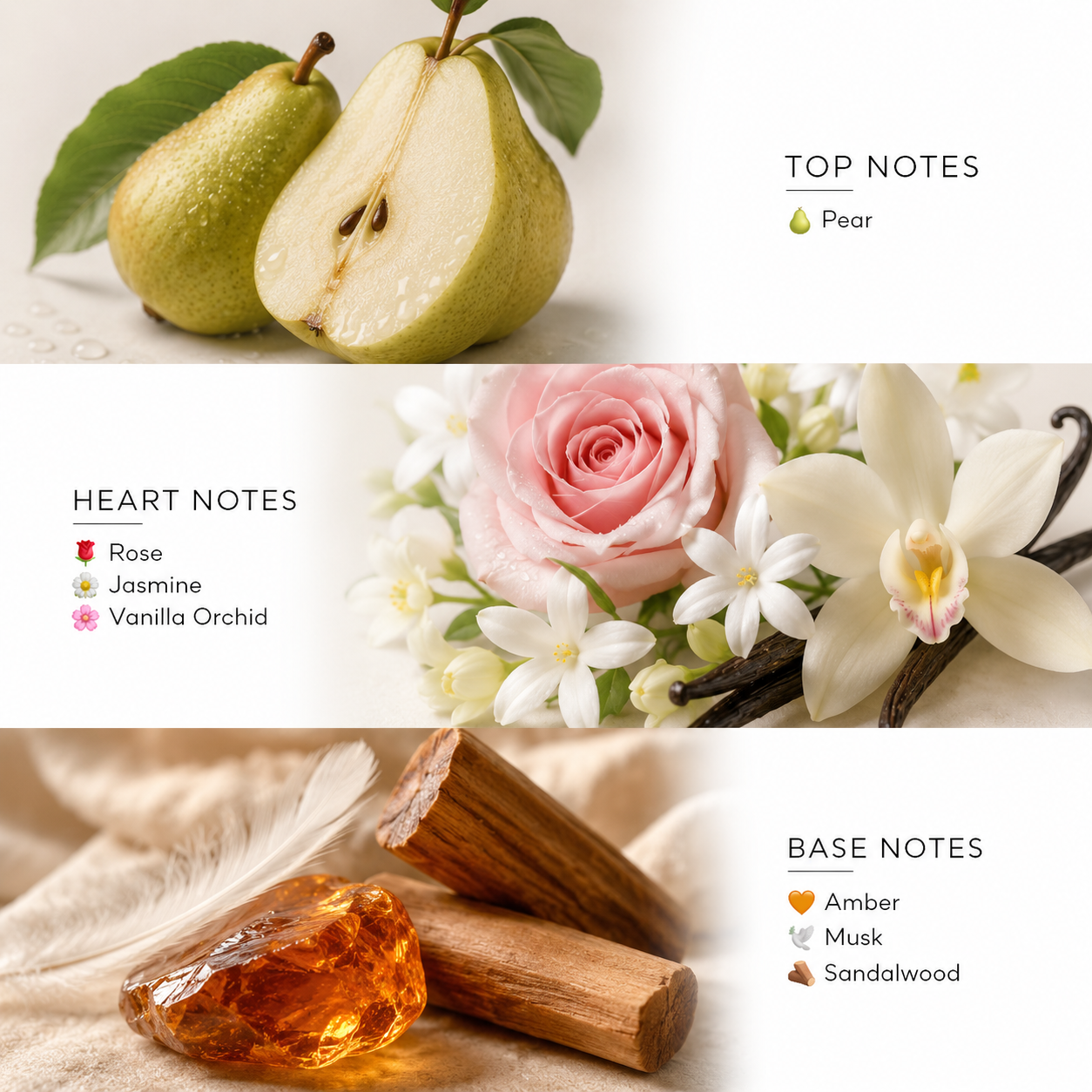 Secret Love | Signature Collection