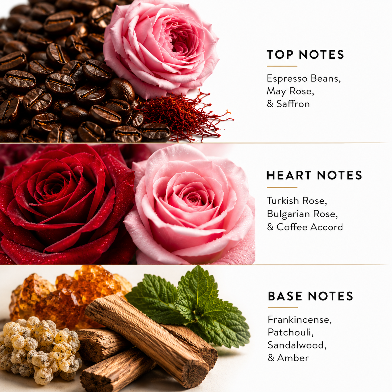 A fragrance notes graphic with three horizontal panels showing floral and botanical imagery and text labels: TOP NOTES with espresso beans, pink and red roses, and saffron; HEART NOTES with Turkish rose, Bulgarian rose, and coffee accord; BASE NOTES with frankincense, patchouli, sandalwood, and amber. The right side has a white background with black text.