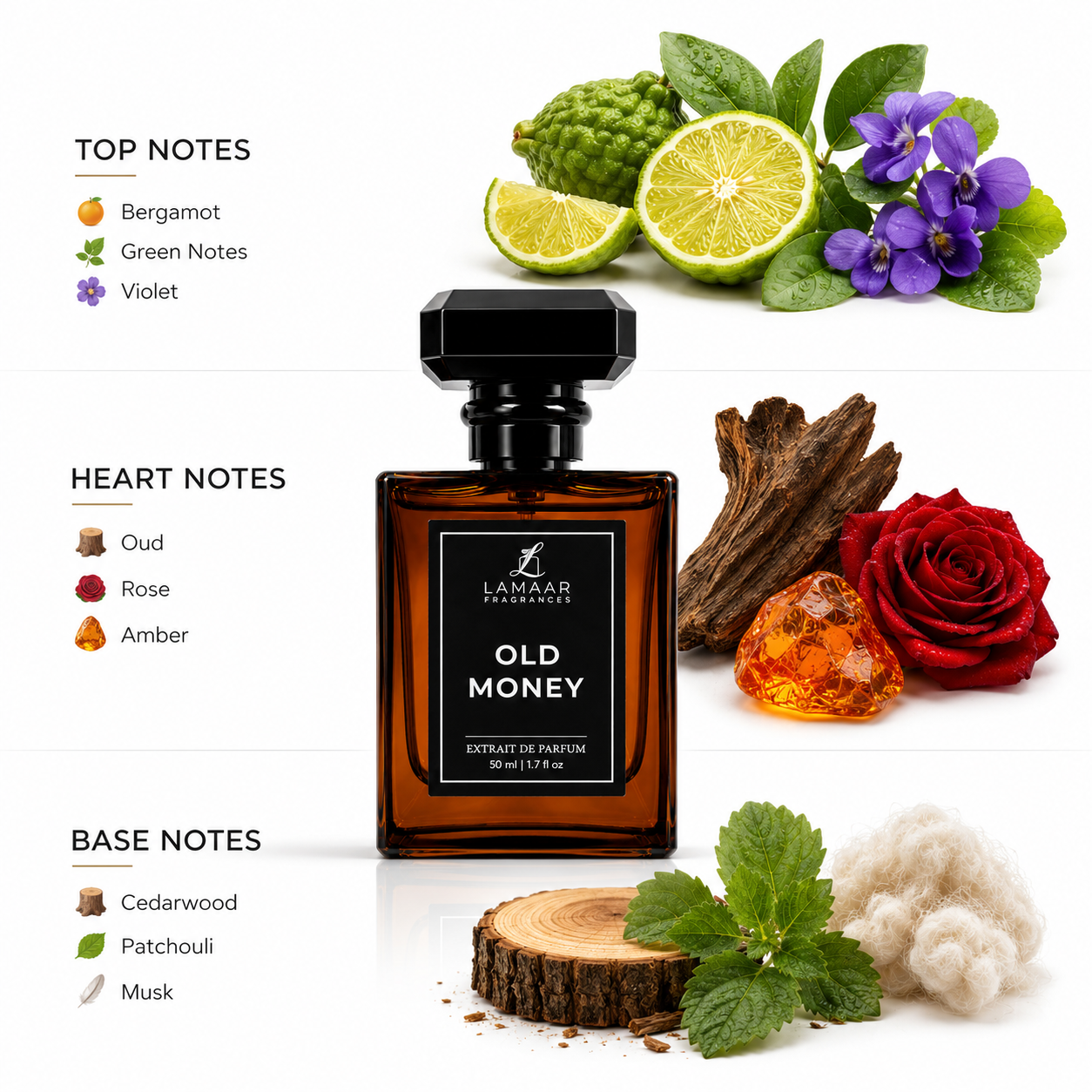 OLD MONEY | BEST SELLERS | WINTER COLLECTION