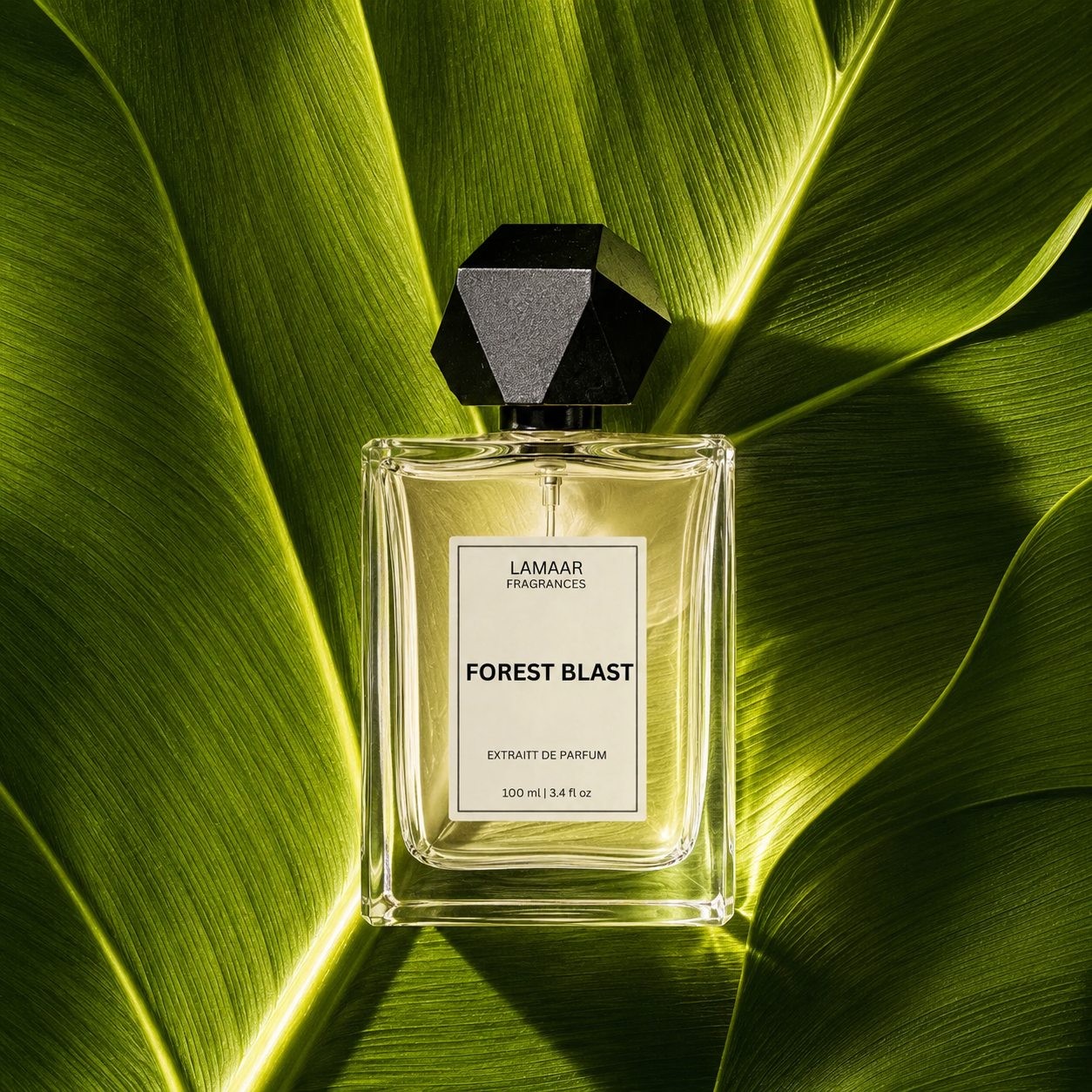 Forest Blast | Signature Collection