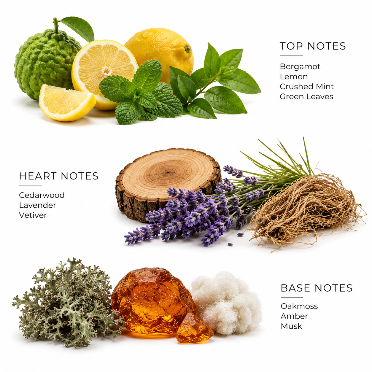 Forest Blast | Signature Collection
