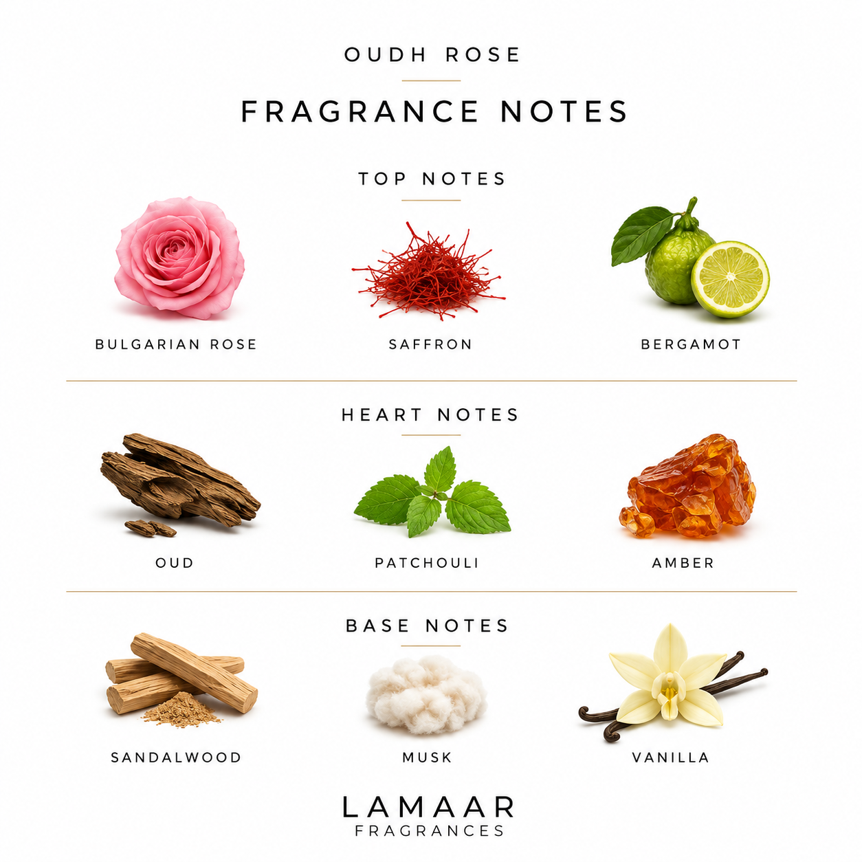Oudh Rose | Signature Collection